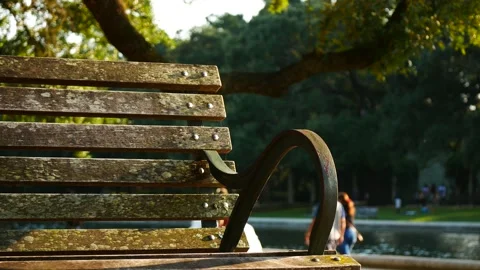 P1010028 Stockbeeldmateriaal 190047513