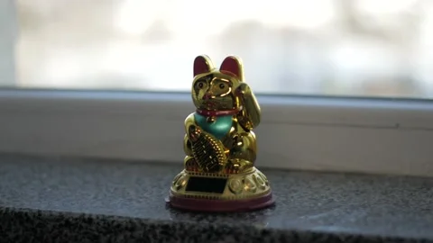 P1020027 Stock Footage 228870980