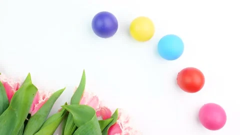 P10206371 Vidéo 150161211