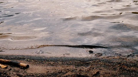 P1022072 Stock Footage 129651884