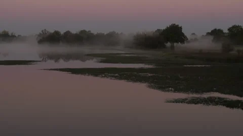 P1044545 Stock Footage 325568232