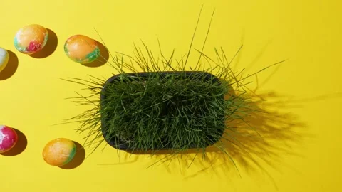 P1070682 Stock Footage 186083779