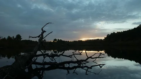 P1077088 Stock Footage 316594436