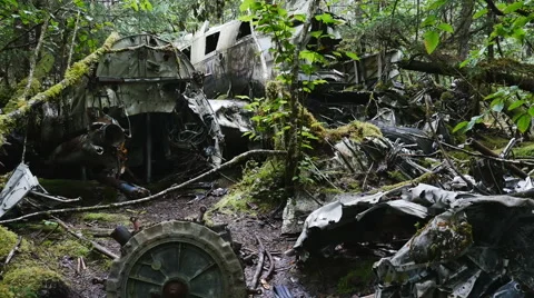 P1080346-Aircraft wreckage from 1957 plane crash in rain forest Stock Footage