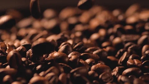 P1099021 Video stock 96993751