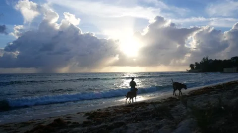 P1100002 Vídeos de archivo 138838395