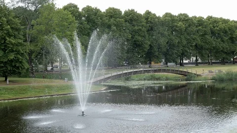 P1110278 Видео 99685521