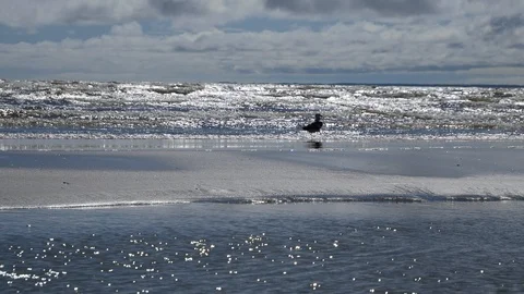 P1110373 Видео 99686068