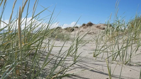 P1110381 Stock Footage 99686011