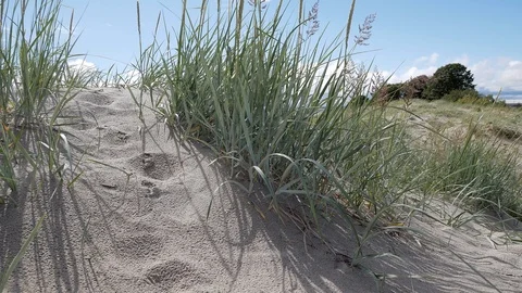 P1110407 Видео 99686060