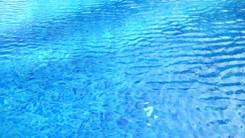 P1111107 Stock Footage 135485902