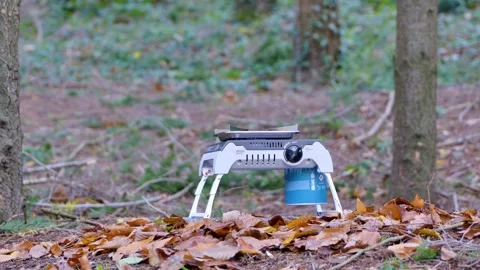 P1128558 Video stock 168124145