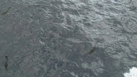 P1160231 7 Stock Footage 157590889