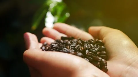 P1260157 Stock Photos