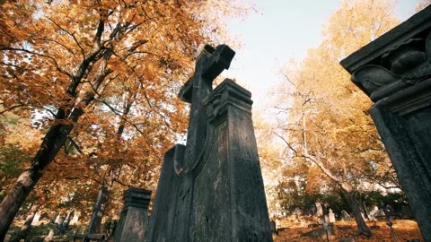 P1422488 8 Stock Footage 290763804