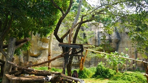 P1690058 Video stock 126395703