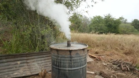 P1810629 Stock Footage 169007447