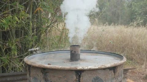 P1810630 Stock Footage 169007522