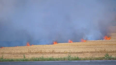 P1970679 The wheat field is on fire Stock Footage 324895530