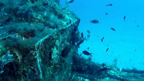 P29 bridge area 스톡 동영상 93303389