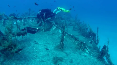 P29 forward section and Diver 스톡 동영상 93304052