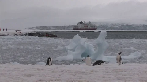 P5 Peninsula Stock Footage 73901650