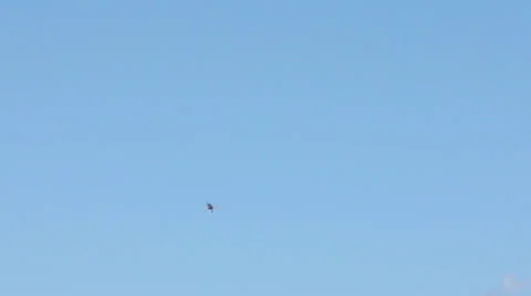 P51 Mustang.mp4 Video stock 39818513