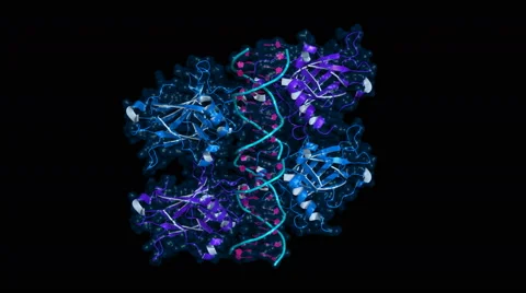 P53 protein bound to DNA molecule Stock Footage