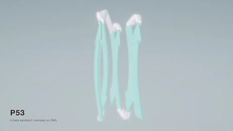 P53 tumour suppressor protein structure rotating molecular loop Stock Footage 343822347