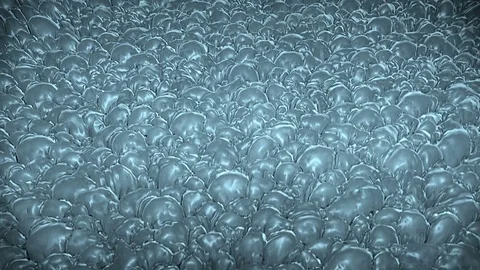 P8 SC 23 HD 01 Stock-Footage 77358375