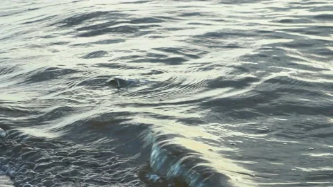 P8080511 Stock Footage 143761552