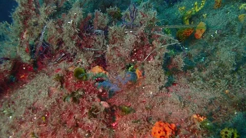 PA260042 Stock Footage 151327652