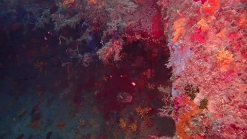 PA260044 Stock Footage 151327678