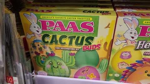 Paas Cactus Buds egg Decorating Kit  Retailer Stock Footage 237279264