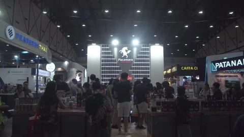 Pacamara coffee is being displayed at Thailand Coffee Fest 2023. Video stock 248995454