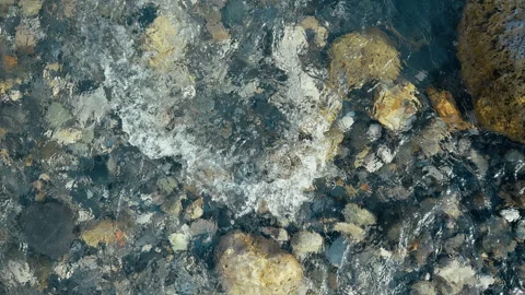 Paceful Movement Of The Creek Water Over The Natural Stones Stock Footage 308656730