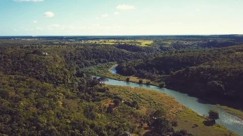 Pacefull river Stock Footage 100755626