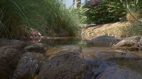 Pacefull water slow motion Video stock 72364359