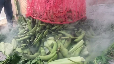 Pachamanca elaboration process in Peru. Stock Footage 221214464
