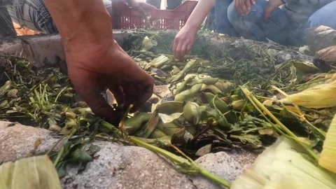 Pachamanca elaboration process in Peru Stock Footage 221214498