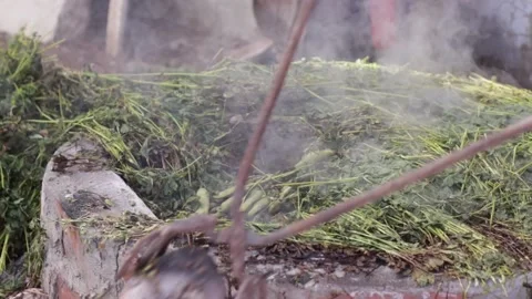 Pachamanca elaboration process in Peru. Stock Footage 221215283
