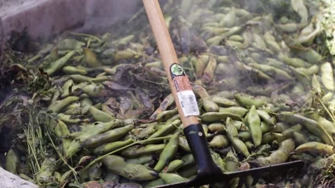 Pachamanca elaboration process in Peru. Stock Footage 221215316