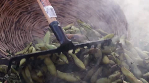 Pachamanca elaboration process in Peru. Stock Footage 221215318