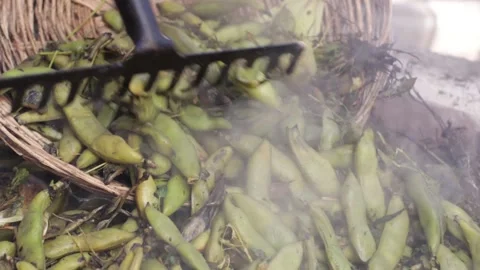 Pachamanca elaboration process in Peru. Stock Footage 221215391