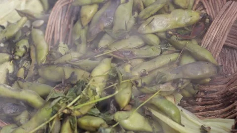 Pachamanca elaboration process in Peru Stock Footage 221215418