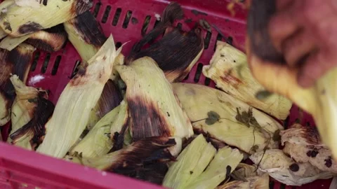 Pachamanca elaboration process in Peru Stock Footage 221215525