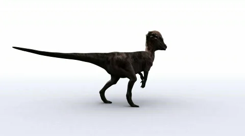 Pachycephalosaurs Stock Footage 736879