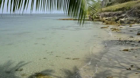 Pacific beach Stock Footage 11286011