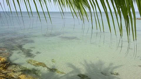 Pacific beach Stock Footage 11286397