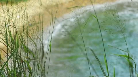 Pacific beach Stock Footage 11337031